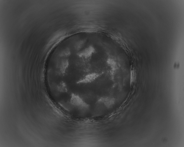 X0000091170243200708301201