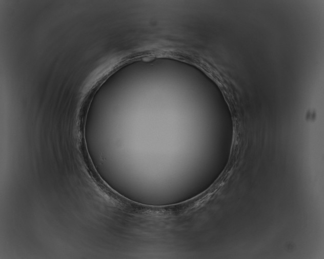 X0000091170245200708301201