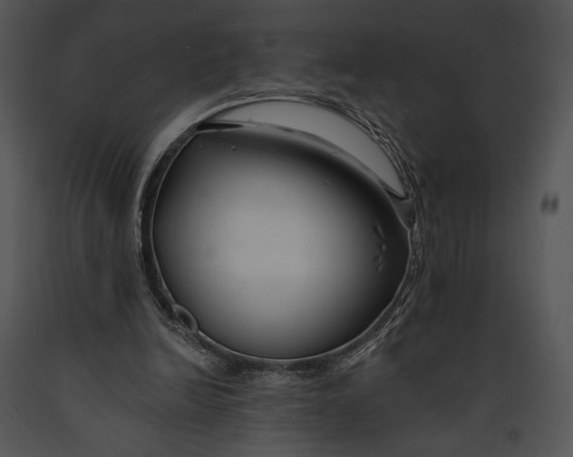 X0000091170246200708301201