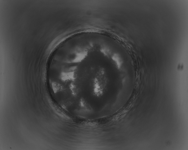 X0000091170247200708301201