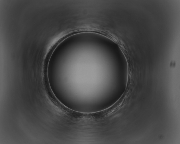 X0000091170248200708301201