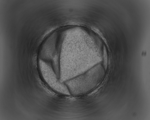 X0000091170249200708301201