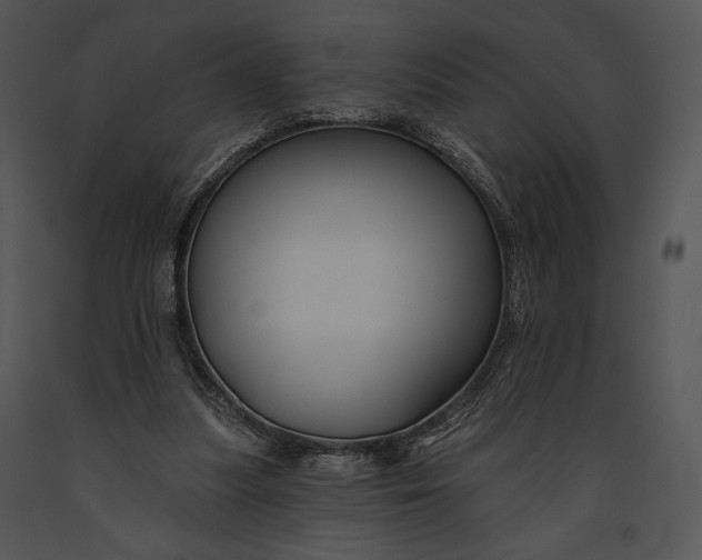 X0000091170251200708301201