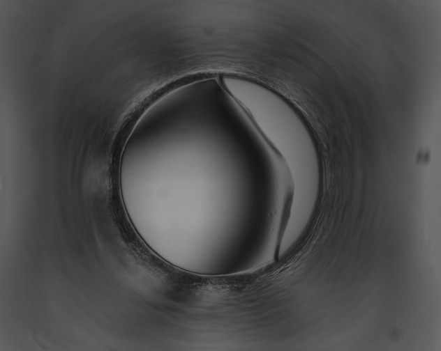 X0000091170252200708301201