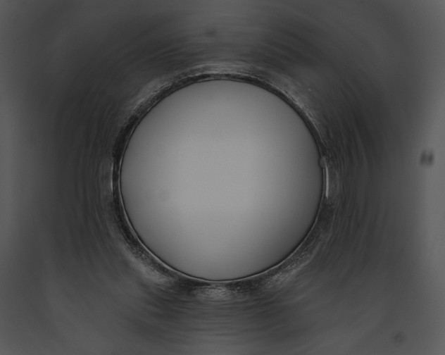 X0000091170253200708301201