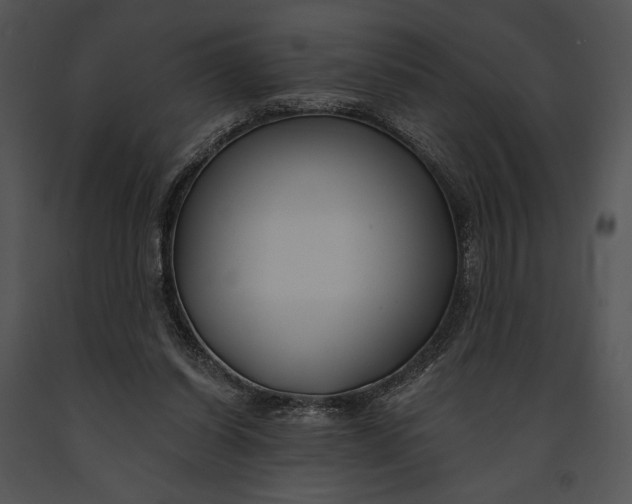 X0000091170254200708301201