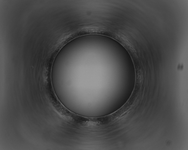 X0000091170255200708301201