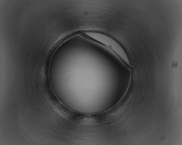 X0000091170256200708301201