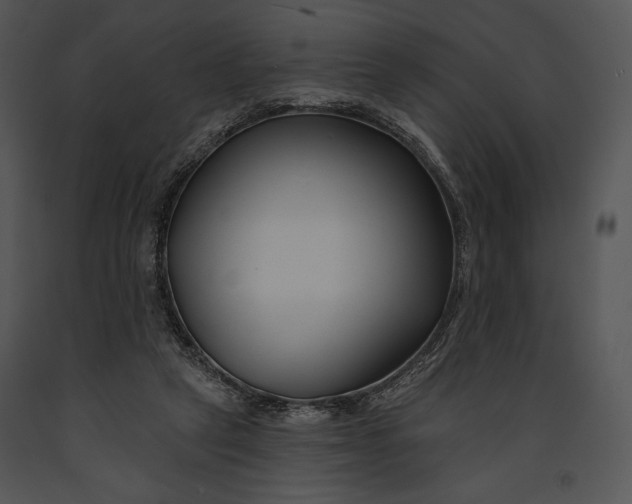 X0000091170257200708301201