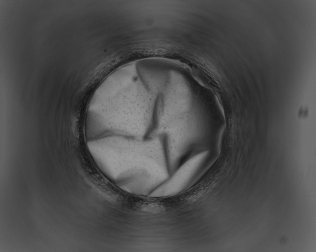 X0000091170258200708301201