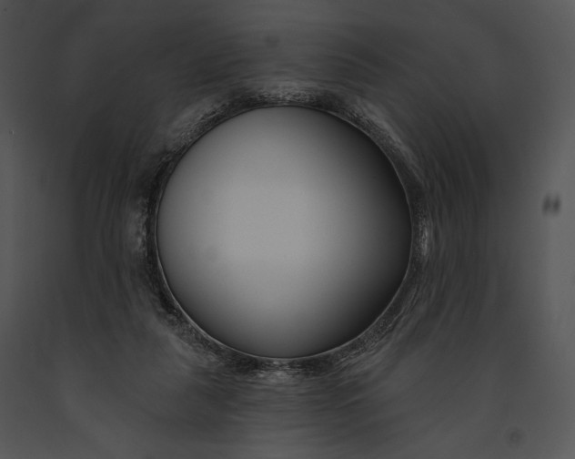 X0000091170259200708301201