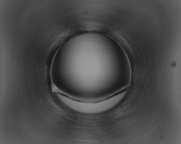 X0000091170260200708301201