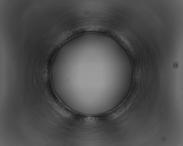 X0000091170261200708301201