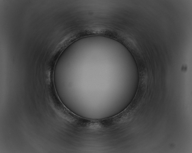 X0000091170262200708301201