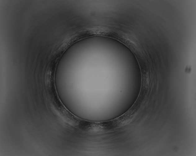 X0000091170263200708301201