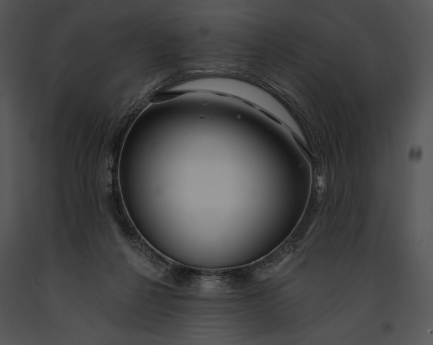 X0000091170264200708301201