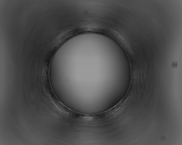 X0000091170265200708301201