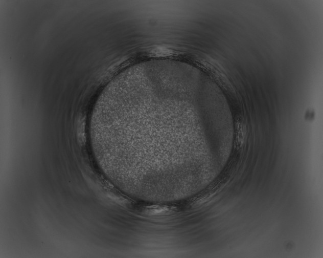 X0000091170267200708301201