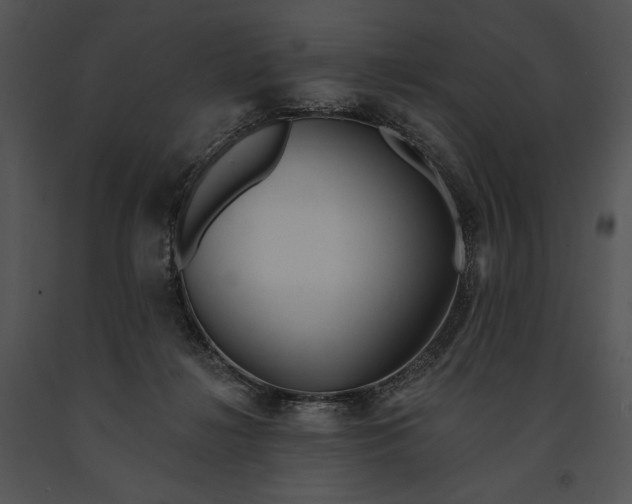 X0000091170268200708301201