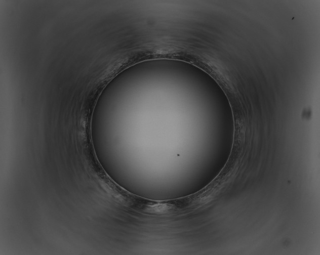 X0000091170269200708301201