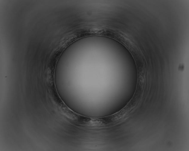 X0000091170270200708301201