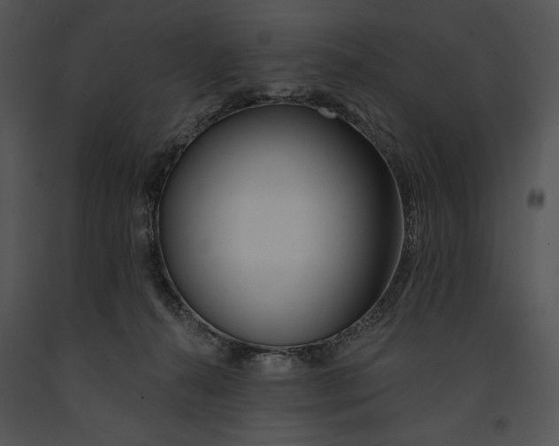 X0000091170272200708301201