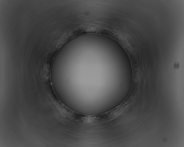 X0000091170273200708301201