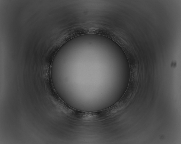 X0000091170274200708301201