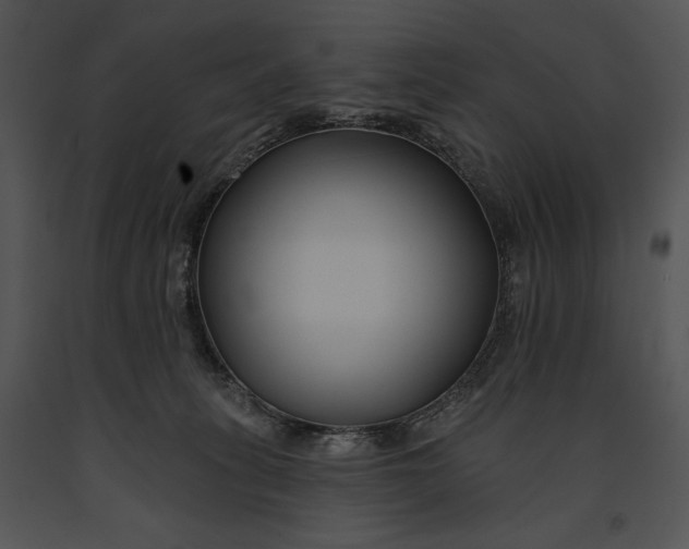 X0000091170275200708301201