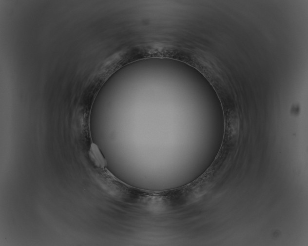 X0000091170276200708301201