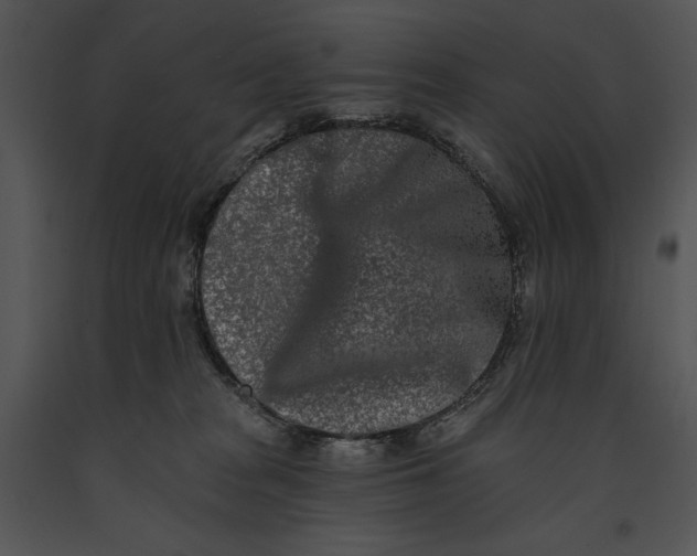 X0000091170277200708301201