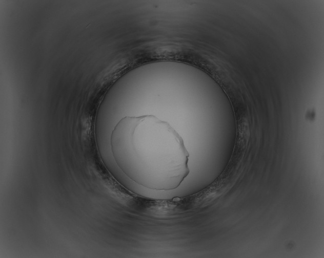 X0000091170278200708301201