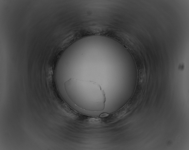 X0000091170279200708301201