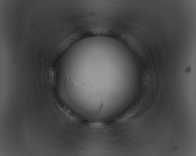 X0000091170281200708301201