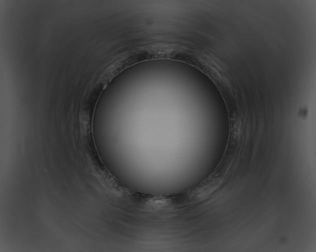 X0000091170283200708301201