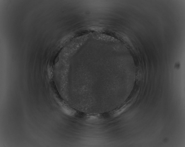 X0000091170285200708301201