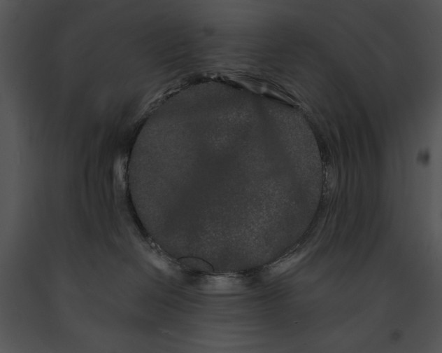 X0000091170286200708301201