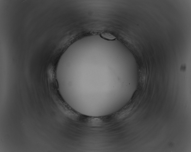 X0000091170287200708301201