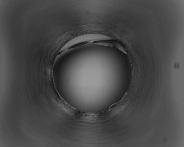 X0000091170288200708301201