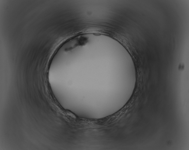 X0000091170289200708301201