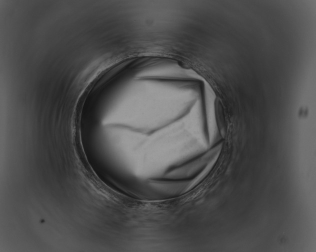 X0000091170290200708301201