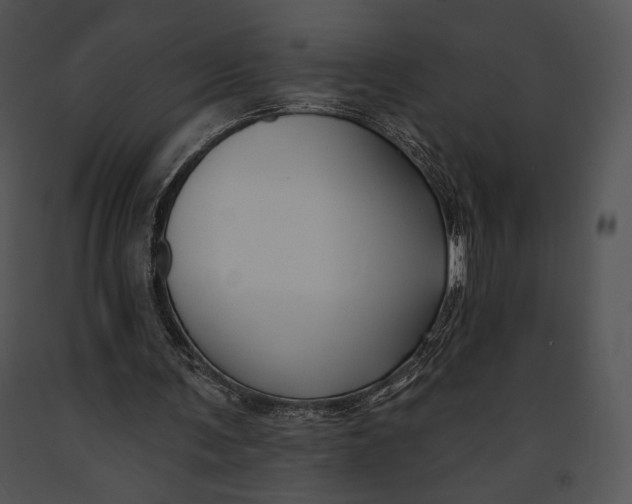 X0000091170291200708301201