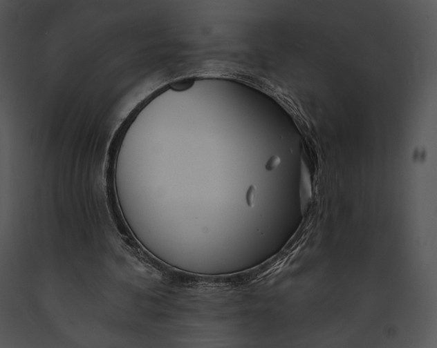 X0000091170292200708301201