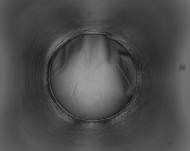 X0000091170293200708301201