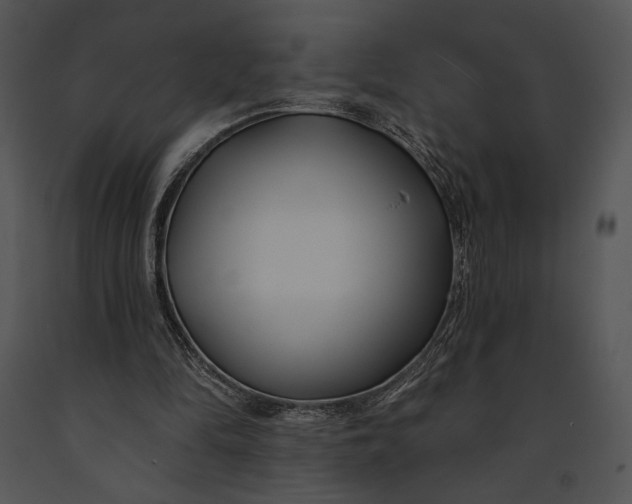 X0000091170294200708301201