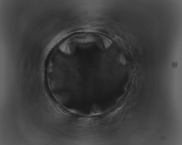 X0000091170295200708301201