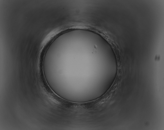 X0000091170296200708301201