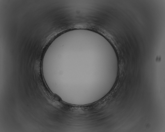 X0000091170297200708301201