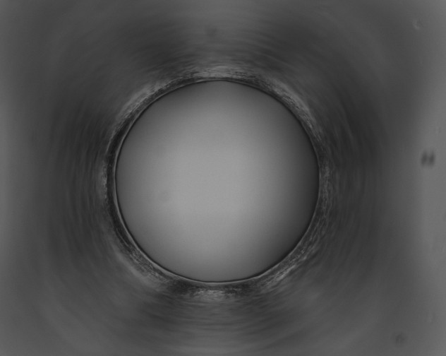 X0000091170298200708301201