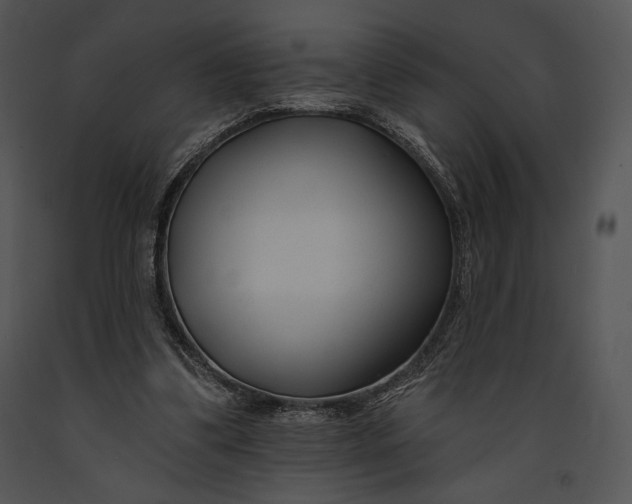 X0000091170299200708301201